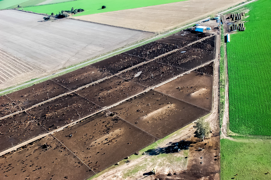 Vista aérea de las instalaciones de PACSA